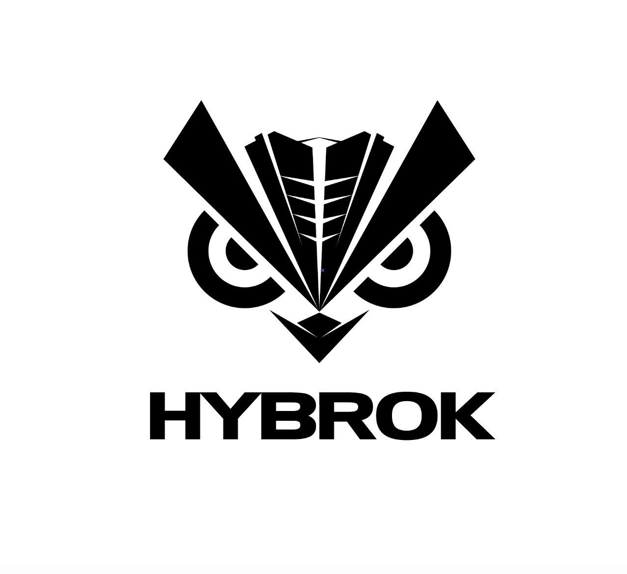 cropped-HYBROK-LOGO-1.jpg